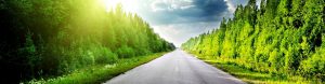cropped-nature-landscapes_hdwallpaper_endless-road-in-a-grove-of-trees_150611